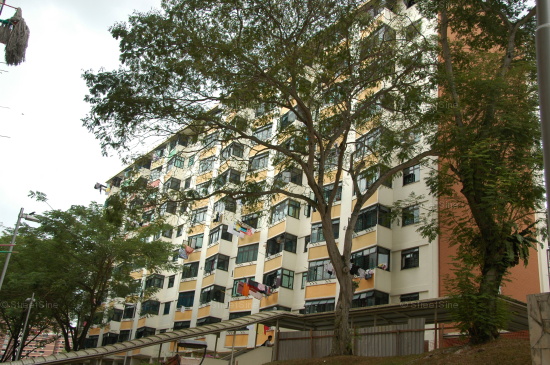 Blk 106 Commonwealth Crescent (S)140106 #160122